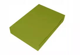 Frotinis paklodė su guma 120x200 labai stora