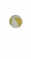 Reklaminiai paplūdimio kamuoliai su logotipu, 100 vnt.