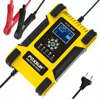 Anytech.pl 12v 24v 12a automobilinis akumuliatorių įkroviklis Foxsur mikroproc. remontui