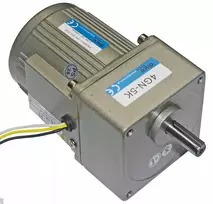 Vienfazis reduktorius su varikliu 250 aps/min 230v 25w
