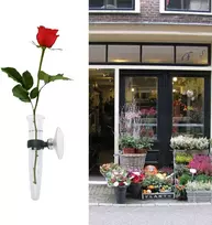 Heallily 8 vienetų orchidėjų mėgintuvėliai su siurbtuku gėlių mėgintuvėliai vandens mėgintuvėliai plastikiniai mėgintuvėliai stiklinė gėlių vaza sieninė vaza plastikiniai skaidrūs mėgintuvėliai