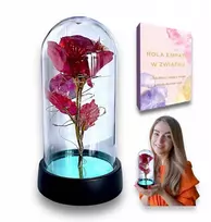 Amžina rožė stikle su led apšvietimu, dovanų rinkinys + premija e-knyga moters dienos proga