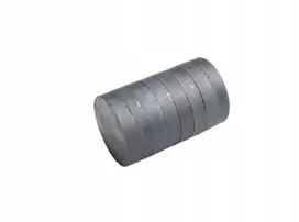 Ferito cilindrinis magnetas 40x8 mm F30, 2 vnt.