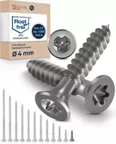 Nerūdijančio plieno medvaržčiai Torx, 4x16mm, 100 vnt.