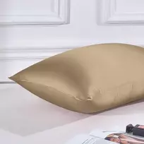 Thxsilk šilkinė pagalvės užvalkalas 40 x 60 cm - 100% šilkmedžio šilko pagalvės užvalkalas - hipoalerginis su paslėptu užtrauktuku - 22 momme dvipusis grynas šilkas 1 vnt. taupe