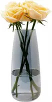 Stiklinė vaza gėlėms, ins moderni skaidraus stiklo vaza, 22 cm aukščio stiklinė vaza stalo dekoravimui, dekoratyvinės vazos pampų žolei, tulpėms, orchidėjoms, rožėms, džiovintoms gėlėms (dūmų pilka)
