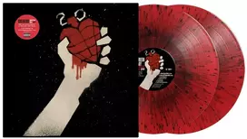 Vinilinė plokštelė American Idiot (20-ojo jubiliejaus deluxe leidimas) [vinilo plokštelė]