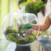 Stobok 3 plastikinių medžių modelių rinkinys, maža imitacinė pušis, kiparisas, žaislas, pasidaryk pats amatų geležinkelio kraštovaizdžio augalas vaikams (mažas)