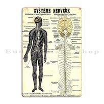 Nervų sistemos anatomijos plakatas Medicininis Chiropraktinis Metalinis ženklas Klubas Baras Kino klubas Individualus skardinis plakatas 20x30cm（7.8x11.8inch） gray