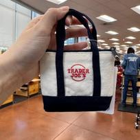 Mini Tote Bag With Keychain And Coin Pocket In Canvas For Daily Use