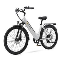 PURE UNICORN U2 Suaugusiųjų Elektrinis Dviratis 750W Variklis 48V12.8AH Baterija Elektrinis Dviratis 27.5 Colių Bekelės Padangos Miesto Važinėjimui E-Dviratis