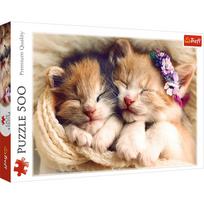 37271  500  - Sleeping Kittens