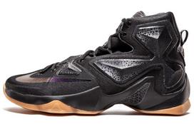 Nike LeBron 13 Black Lion 807219-001 41 gray