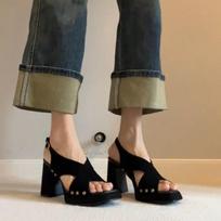 Summer new fish mouth rivet cross with high heel thick sole waterproof table Roman sandals women's thick heel European goods 40
