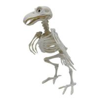 Halloween Animal Skeletons Dog Bat Frog Bone Skeletons for Halloween Spider Snake Rat Party Haunted L gray