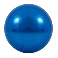 Sustorintas PVC jogos kamuolys: 55cm, 65cm, 75cm - Puikiai tinka Pilatesui ir Fitnesui 65cm (800g) + Pump Kit