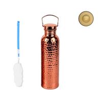 Water Bottle with Carry Handle and Hammered Textured Body, 304 Stainless Steel, 800Ml Capacity for Everyday Drinking Water brown