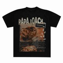 Papa Roach Grunge Insect Graphic Tee, Y2K Rock Shirt with Faded Aesthetic Print for Fans 4XL brown