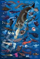 Epoch 100 Large Piece Jigsaw Puzzle by Taro Deep Sea Creatures Encyclopedia Depths x Includes and point Co., Ltd. Illustration/Art Tomonaga - blue