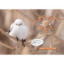 Hokkaido Shimbun Press Shima Enaga 2027 Desk Calendar Cute Long-tailed Tit Postcard Book Japanese Stationery beige