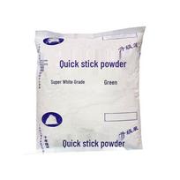 Xingongpai Quick-Set Wall Repair Putty white
