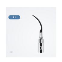 5 vnt. dantų ultragarsinio skalerio antgalis P1/P3/PD1/PD3 skalingas periodontologija endodontija odontologai daugiafunkcis endo perio skalingo antgalis P1 gray