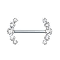 1 vnt. Titano spenelio štanga su žiedu, CZ kristalu, paauksuota, su pakabuku skydeliu moterims, vidiniu sriegiu, spenelio pirsingui 14G 1.6x16x4x4mm white