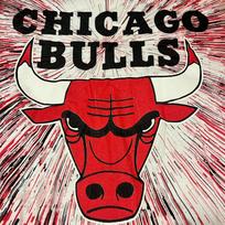 1990s chicago bulls nba champions allover print made in usa single stitch all sports tag size xl sold as is XL red