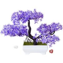 Plum Blossom Bonsai Injection Molded Manufacturing mėlyna