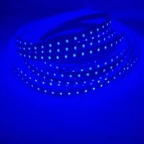 2835 12V 24V LED juostelė Diodinė juosta 5m 10m 120LED/m Minkštas šviestuvo profilis 8mm PCB Baltas/Šiltai baltas/Mėlynas/Raudonas/Rožinis/Žalias/ 24V 10M