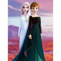 Disney deimantinė tapyba Elsa ir Anna iliustracija  Pasidaryk pats dovana Tinka svetainei, miegamajam, biurui ir namų dekoravimui Round 50x70cm black