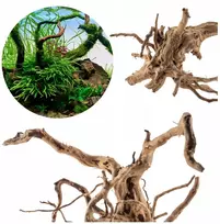 Raudona Moor šaknis L 40-50cm – akvariumo dekoracija