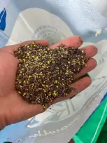Lauko gėlių sėklų mišinys bitėms ir drugeliams 1kg - 10 veislių