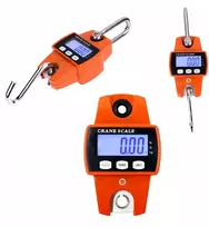 Kraninės elektroninės svarstyklės, iki 300 kg
