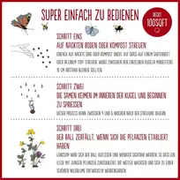 Seedball Lauko gėlių aguonų sėklų rutuliukai (3 vnt.) – 6 sėklos vienoje skardinėje | Gražios raudonos