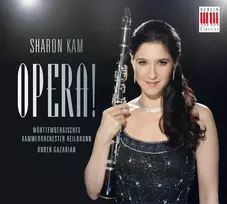 Vinilinė plokštelė Opera!