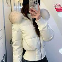 American Spice Girl Little Seagull oversized fur collar hooded cotton coat women's autumn and winter new waist short cotton coat s suggest 40-49kg gray
