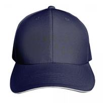 You Wouldnt Steal a Car Baseball Cap Snapback Flat Bill Strapback Dad Hat Six Panel Structured Crown gray