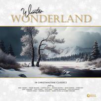Vinilinė plokštelė - Various - Winter Wonderland (14 Christmastime Classics) LP (White Vinyl)