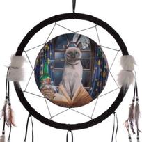 Sapnų gaudyklė 'Hocus Pocus' (16 cm)