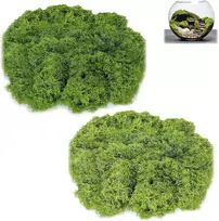 Lzydkh 200 g dirbtinės samanos, samanų dekoracijos, islandiškos samanos rankdarbiams, samanos, dirbtinių samanų paveikslas, dirbtinės rankdarbių samanos, natūralių samanų siena vazonams, augalams, akvariumui (tamsiai žalia, šviesiai žalia)