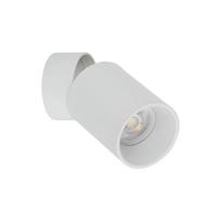 Šviestuvas nukreipiamasis TK Lighting Top 5373, 10 W, GU10