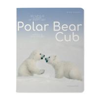 Sąsiuvinis Bruno Visconti Polar Bear Cub 2, A5, langeliais, 48 lapų