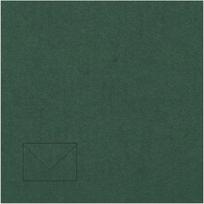 Dekoratyvinis vokas Artoz C7, 110x75mm, 100g, tamsiai žalios spalvos, 1vnt