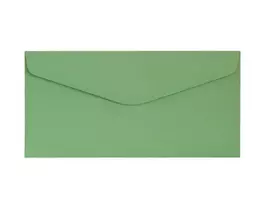 Dekoratyviniai vokai Gladki DL green (10)
