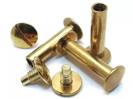 Varžtai knygoms 20 mm, žalv. (100 kompl.), žalvariniai