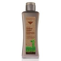 Salerm Biokera natura argan shampoo - plaukus atstatantis ir maitinantis šampūnas su argano aliejumi