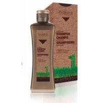 Salerm Biokera natura argan shampoo - plaukus atstatantis ir maitinantis šampūnas su argano aliejumi