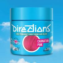 La Riche Directions pusiau ilgalaikiai plaukų dažai, 100 ml – LX1301 carnation pink