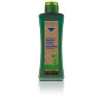 Salerm Biokera moisturizing hair shampoo - Drėkinantis šampūnas su kviečių gemalų aliejumi